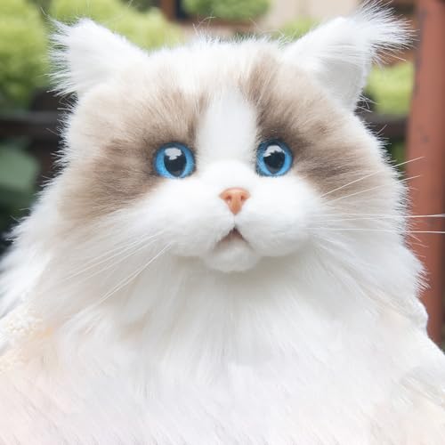 Chongker Cat Plush - Realistic Cat Stuffed Animal for Kids Lifelike Ragdoll Cat Plush, Gift for Kids and Cat Lovers (Ragdoll Cat)